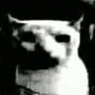 Fernaotornao
