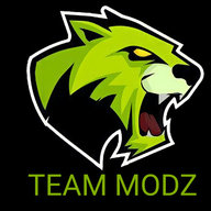 TEAMMODZ