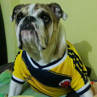 Dhvelasquez