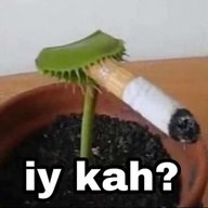 Aloyzz