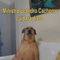 Anybeijamods