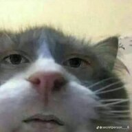 ChipznCookie