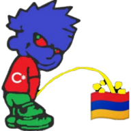 Turgut2015