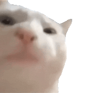 Ameyurino
