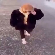 ConkeyMudi