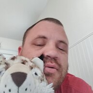 LittleWolfies