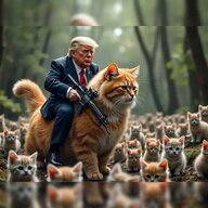 Is True Trump
