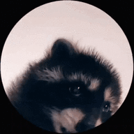 Powered_Raccoon