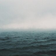 octopus octopusissime