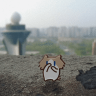 666盐都不延