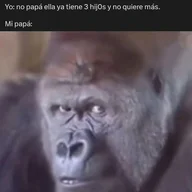 JuanTausanYil