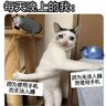 李桢逼