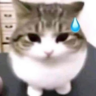 AnuragCyber