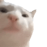 Ameyurino