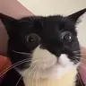 qwernew
