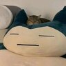 memegangb
