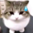 AnuragCyber
