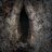 Mothra82
