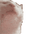 mizo