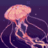 Jellyfish3r
