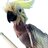 cacatua1975