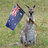 Aussie_