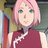 blossomqueen