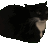 korageous