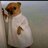 RukshsGaming
